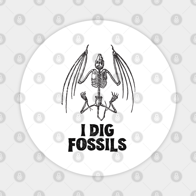 i dig fossils